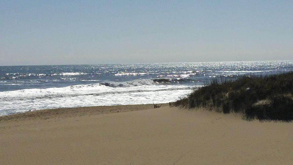Outer Banks Motor Lodge 악마 힐스 외부 사진